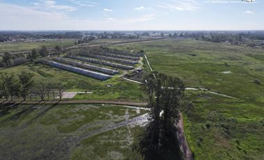 Fracción de 275ha en Venta -  Cañuelas - Ideal Desarrollo