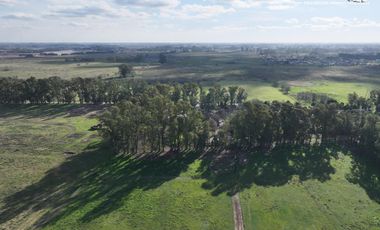 Fracción de 275ha en Venta -  Cañuelas - Ideal Desarrollo