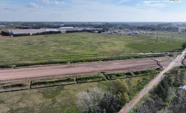 Fracción de 275ha en Venta -  Cañuelas - Ideal Desarrollo