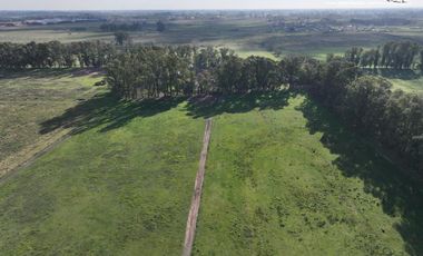 Fracción de 275ha en Venta -  Cañuelas - Ideal Desarrollo