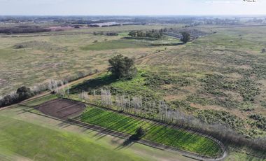 Fracción de 275ha en Venta -  Cañuelas - Ideal Desarrollo