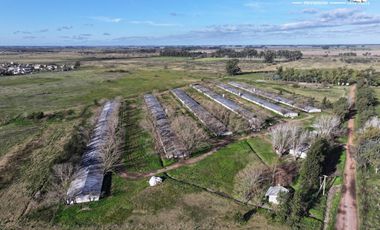 Fracción de 275ha en Venta -  Cañuelas - Ideal Desarrollo