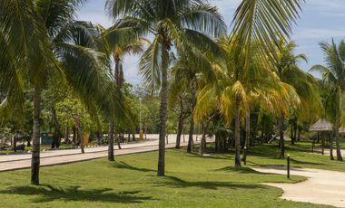 El Lujo del Espacio en Cancún: 1000 m² con Amenidades de Club y la Máxima Tranquilidad.