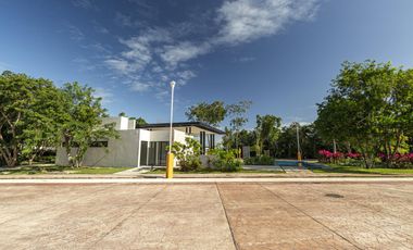 El Lujo del Espacio en Cancún: 1000 m² con Amenidades de Club y la Máxima Tranquilidad.