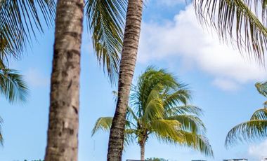 El Lujo del Espacio en Cancún: 1000 m² con Amenidades de Club y la Máxima Tranquilidad.