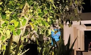 Departamento de Una Recamara en Green Urban Jungle en Temozon Norte Merida Yucatan.