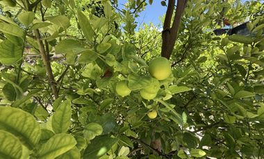 🏡 Casa en Venta – Fracc. San José, Mérida (zona Oriente) 📍 A pocos minutos del