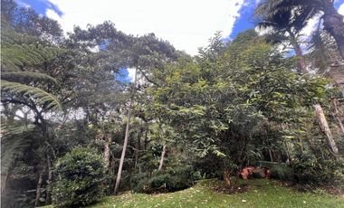 Venta de parcela campestre en el retiro Antioquía un nivel