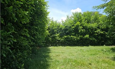 Lote en Venta Rozo-sector la Torre Valle del Cauca