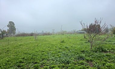 Vende Parcela de 5.000 m2. con bodega en Los Ángeles