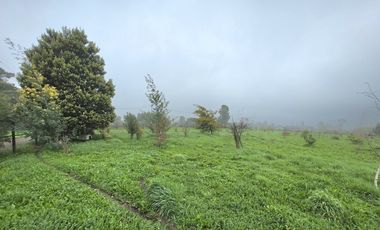 Vende Parcela de 5.000 m2. con bodega en Los Ángeles