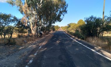 Parcela de 31 Hectàreas en Chimàvida, a 15 Kms de Cauquenes