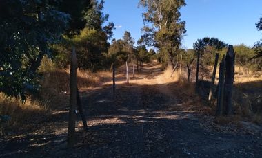 Parcela de 31 Hectàreas en Chimàvida, a 15 Kms de Cauquenes