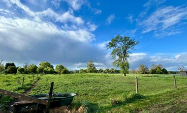 Parcela en venta en OSORNO