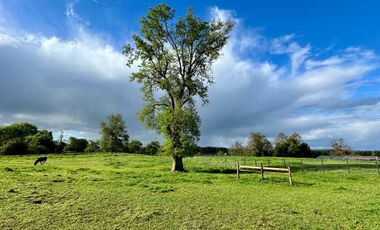 Parcela en venta en OSORNO