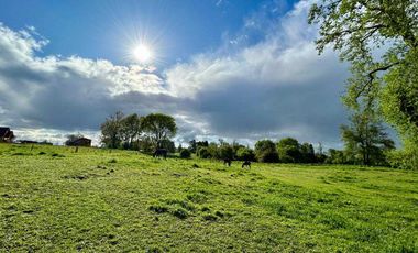 Parcela en venta en OSORNO