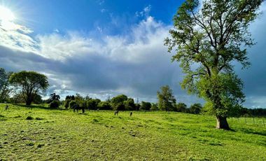 Parcela en venta en OSORNO