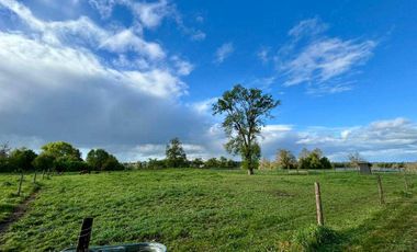 Parcela en venta en OSORNO