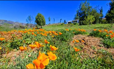 Parcela en venta en SANTA JUANA