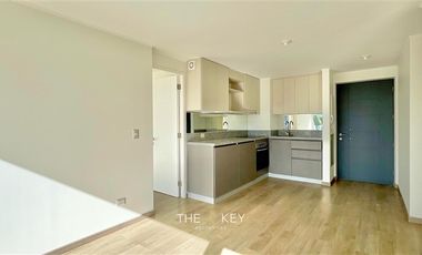 Departamento en Arriendo en San Martín - Patricio Lynch.