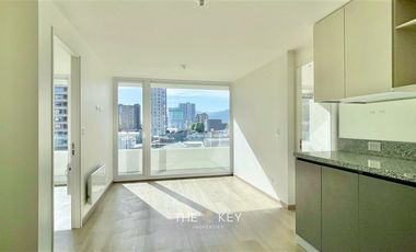 Departamento en Arriendo en San Martín - Patricio Lynch.