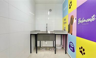 Departamento en Arriendo en San Martín - Patricio Lynch.