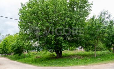 Terreno  Lote en venta de 333m2 en Burzaco