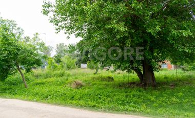 Terreno  Lote en venta de 333m2 en Burzaco