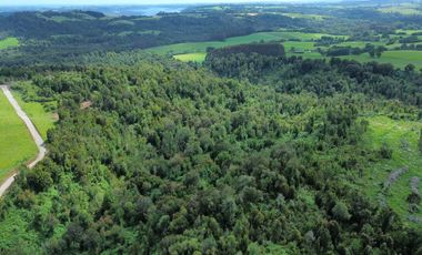 Parcela en venta en LOS MUERMOS