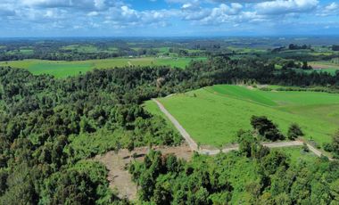 Parcela en venta en LOS MUERMOS