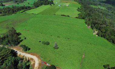 Parcela en venta en LOS MUERMOS