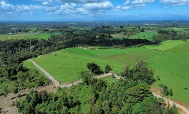 Parcela en venta en LOS MUERMOS