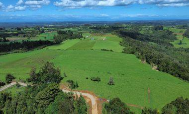 Parcela en venta en LOS MUERMOS