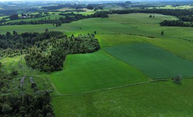 Parcela en venta en LOS MUERMOS