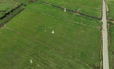 Parcela en venta en FRUTILLAR