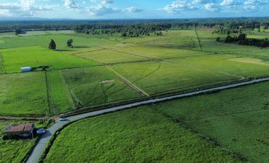 Parcela en venta en FRUTILLAR