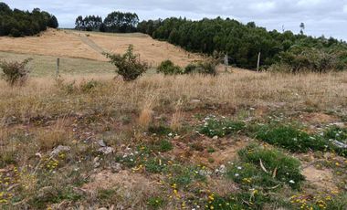 Parcela en venta en LOS MUERMOS