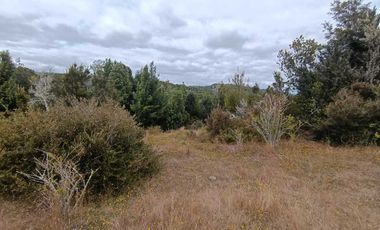 Parcela en venta en LOS MUERMOS