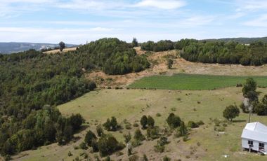 Parcela en venta en LOS MUERMOS