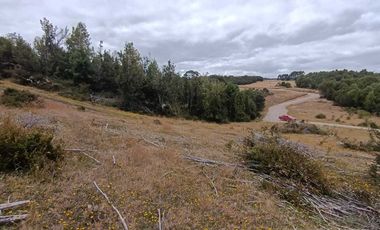 Parcela en venta en LOS MUERMOS