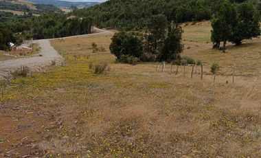 Parcela en venta en LOS MUERMOS