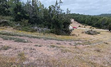 Parcela en venta en LOS MUERMOS