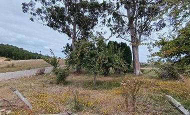 Parcela en venta en LOS MUERMOS