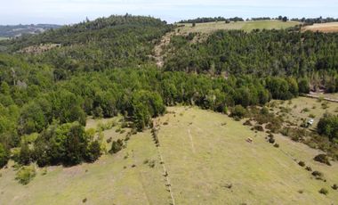 Parcela en venta en LOS MUERMOS