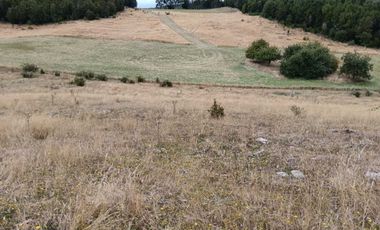 Parcela en venta en LOS MUERMOS