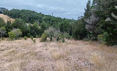 Parcela en venta en LOS MUERMOS