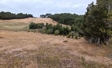 Parcela en venta en LOS MUERMOS