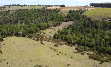 Parcela en venta en LOS MUERMOS