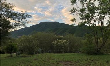 QUINTA EN VENTA ALLENDE