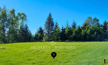 Parcela Panguipulli sector Los Tallos en Loteo con Portón de acceso